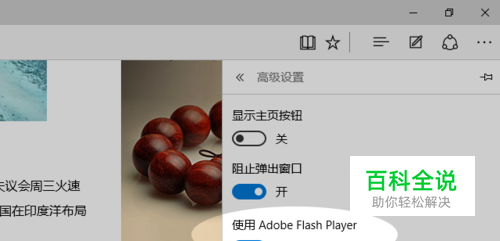 在 Windows 10 的 Edge 浏览器中禁用 Flash